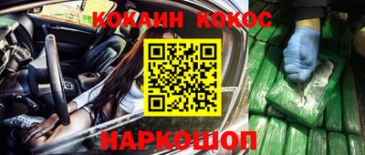 прущие крисы Кингисепп