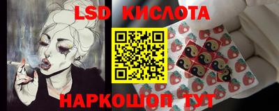 прущие крисы Кингисепп