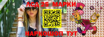 прущие крисы Кингисепп