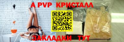 прущие крисы Кингисепп