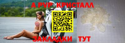 прущие крисы Кингисепп