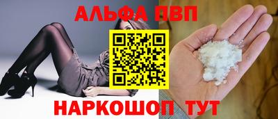 прущие крисы Кингисепп