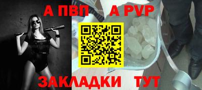 прущие крисы Кингисепп